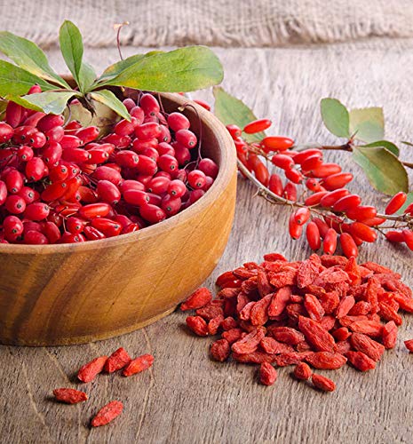 VIP Vitamins Goji Berry Complex Antioxidant - 120 Capsules - image 3
