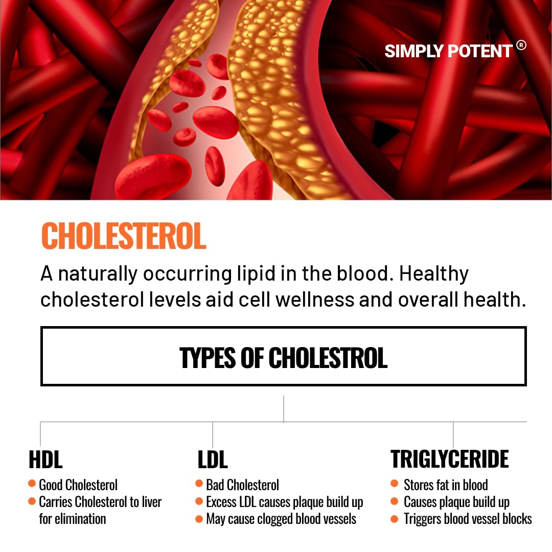 Simply Potent Cholesterol Supplement - 60 Vegetarian Capsules - image 4
