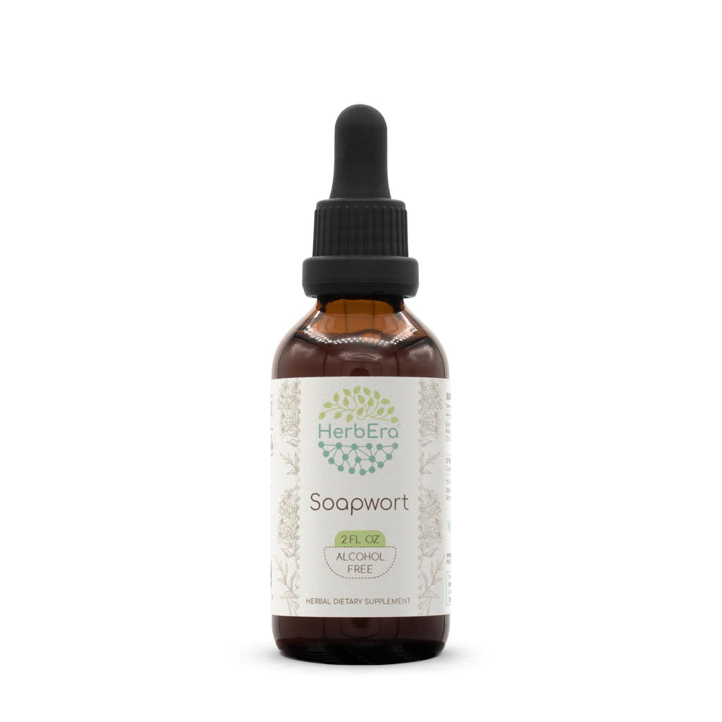 HerbEra Soapwort Alcohol-Free Herbal Extract Tincture