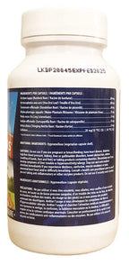 Omega Alpha Kidney Plus - 90 Capsules - image 4