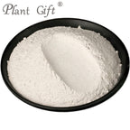 Plant Gift 100% Pure Euryales Powder - 100g - image 3