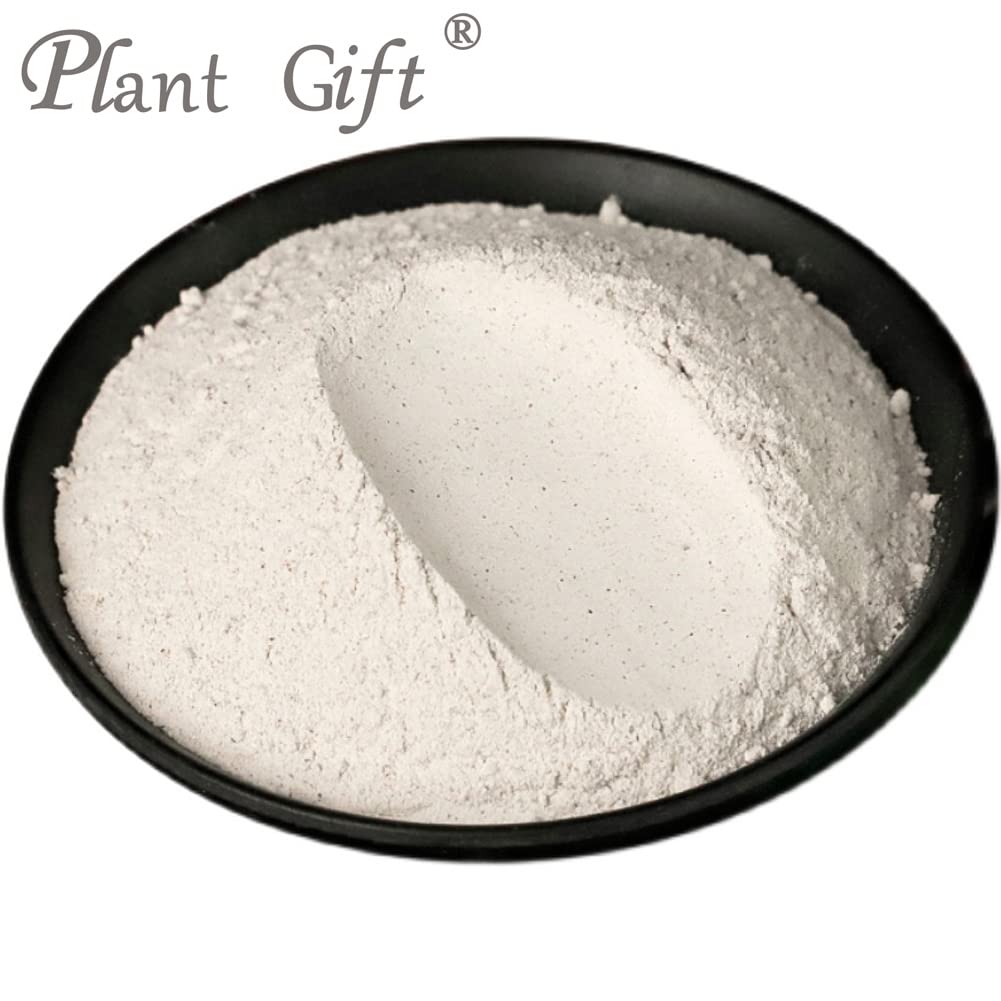 Plant Gift 100% Pure Euryales Powder - 100g - image 3