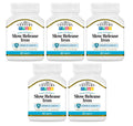 21st Century Slow Release Iron Tablets - 300 Count