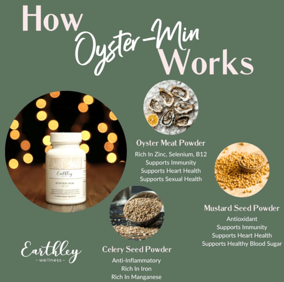 Earthley Wellness Oyster-Min Natural Zinc & Mineral Supplement - 60 Capsules - image 2