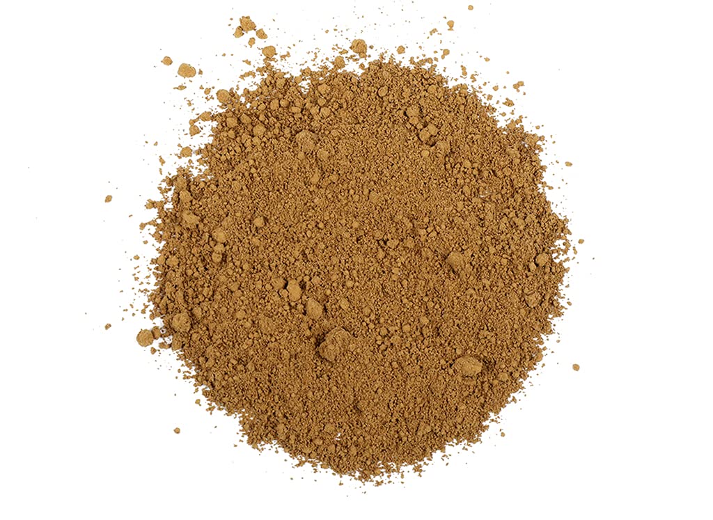 Healthy Supplements Reishi Mushroom Powder Organic - 1 oz
