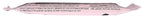 JAMBAR Organic Jammin Jazzleberry Energy Bar - 2.12 oz - image 3