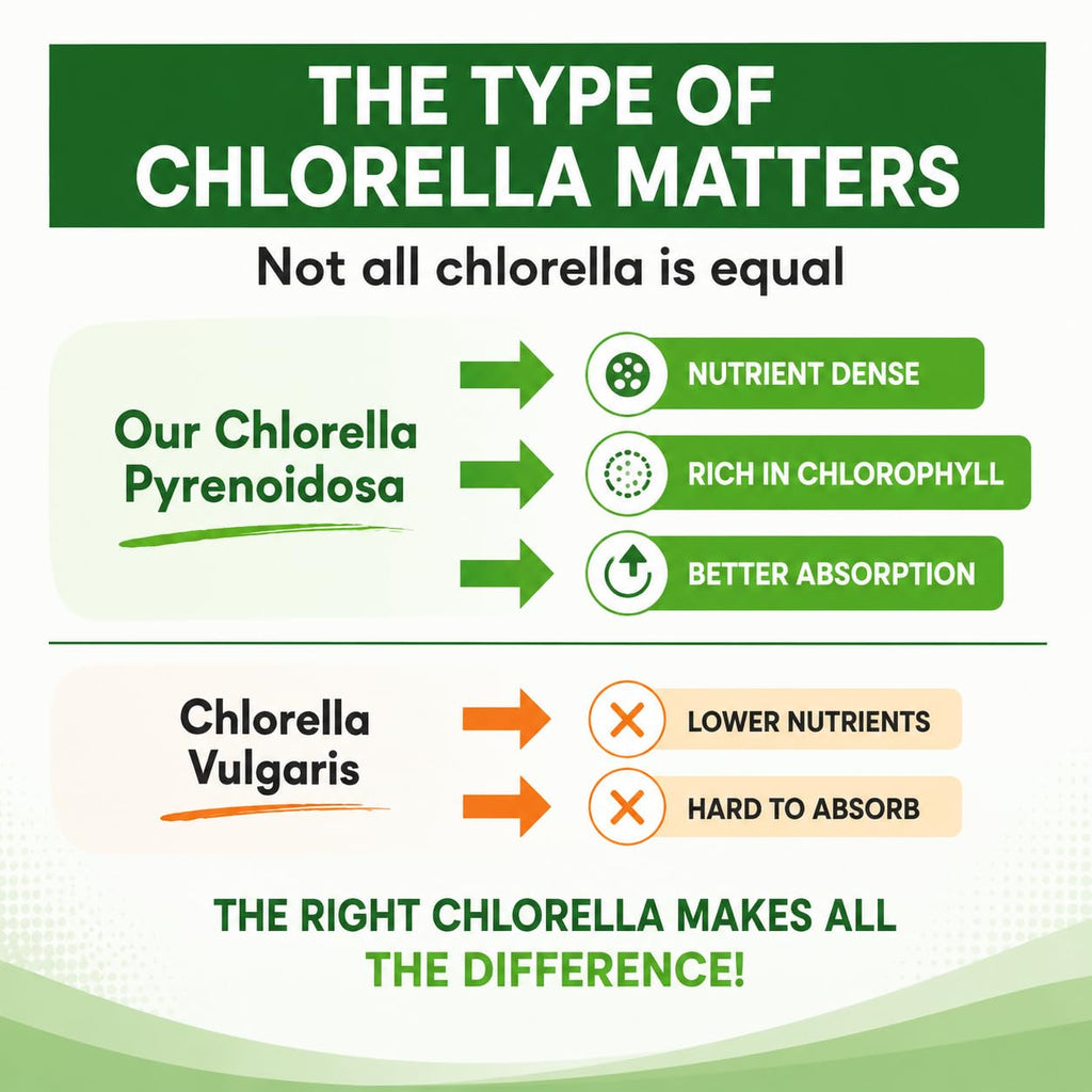 HCL Herbal Code Labs Chlorella 3000 mg - 180 Capsules - image 7