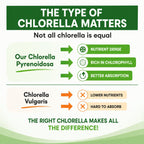 HCL Herbal Code Labs Chlorella 3000 mg - 180 Capsules - image 7