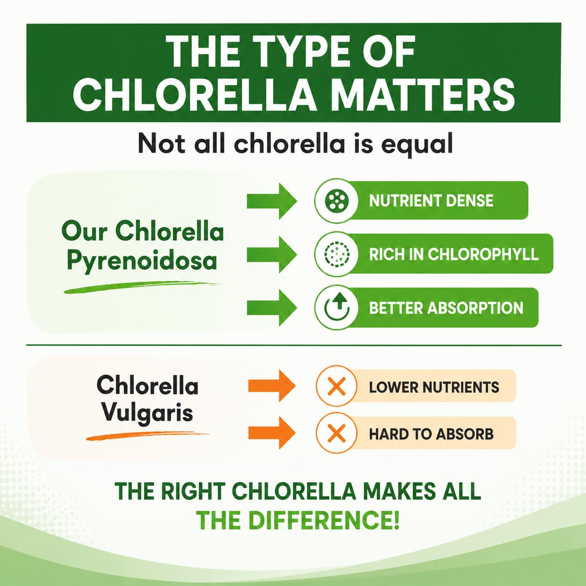 HCL Herbal Code Labs Chlorella 3000 mg - 180 Capsules - image 7