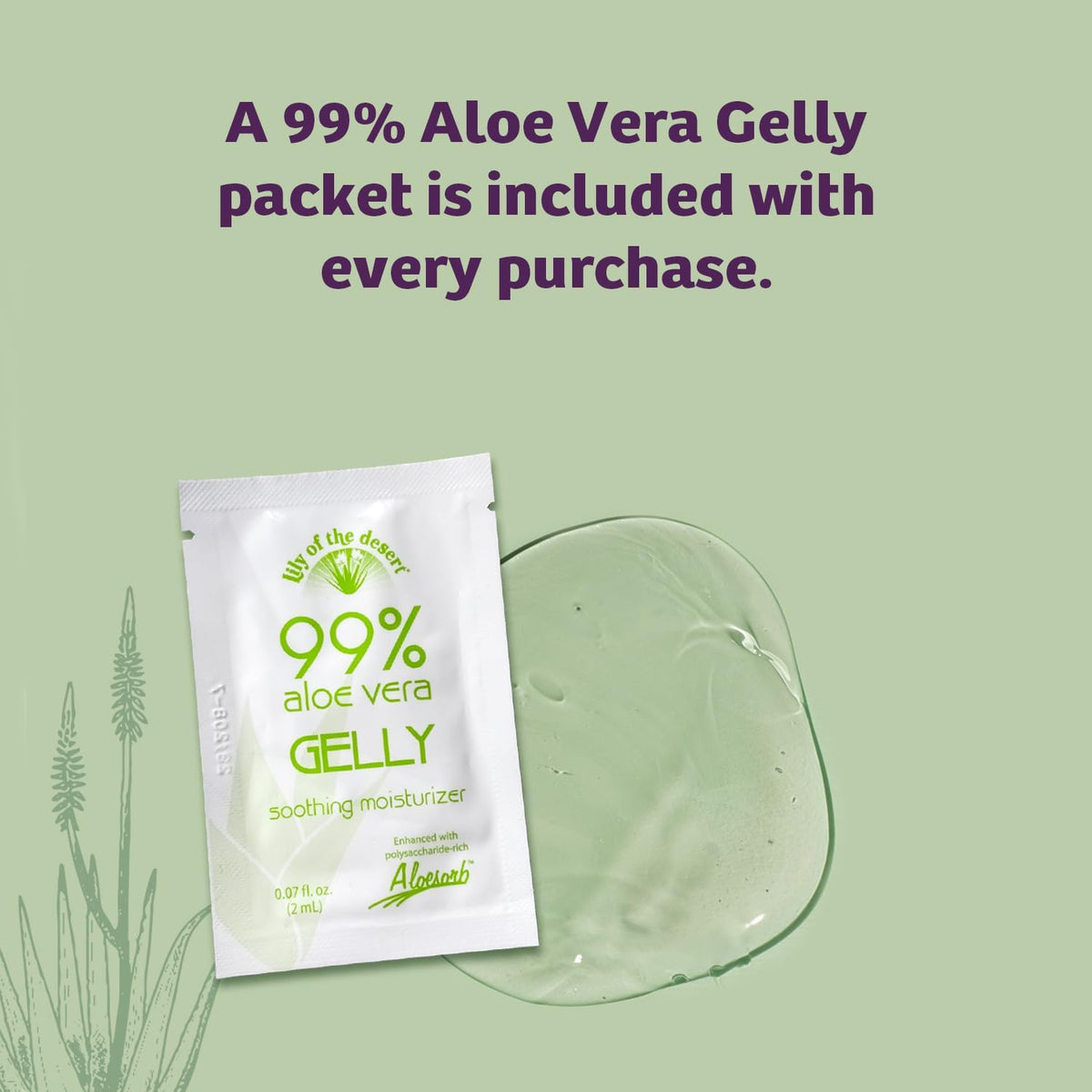 Lily Of The Desert Organic Aloe Vera Juice - 16 fl oz - image 2