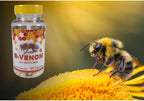 All Nue B-Venom Bee Venom with Glucosamine Sulfate - 60 Capsules - image 4