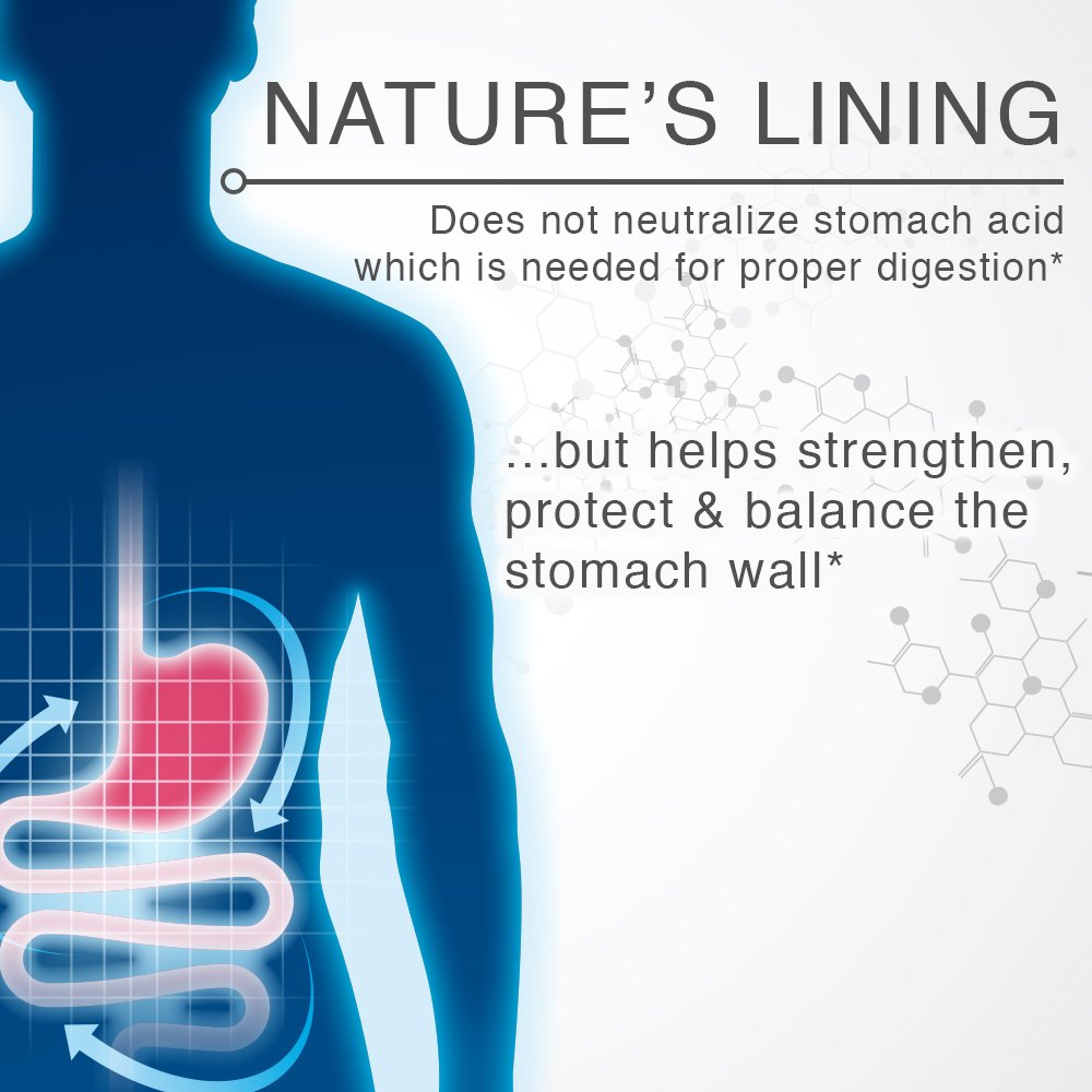 Lane Labs Nature's Lining Chewable Tablets Stomach Support - 60 Tablets - image 5
