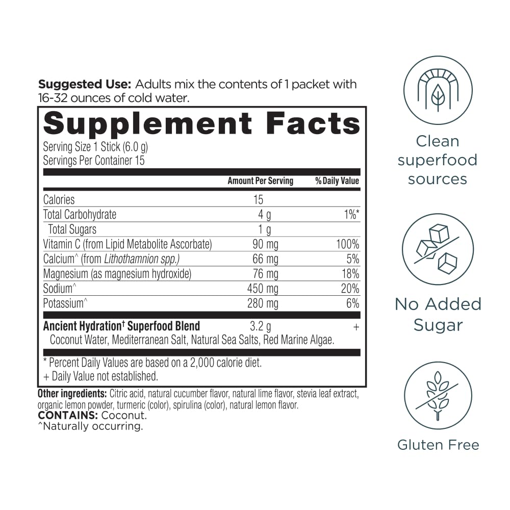 Ancient Nutrition Rapid Hydration Powder