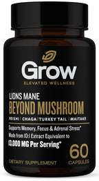 grow vitamin Organic Lion's Mane Brain Booster - 60 Vegetarian Capsules