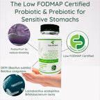 Casa de Sante Advanced Probiotic & Prebiotic Synbiotic - image 5