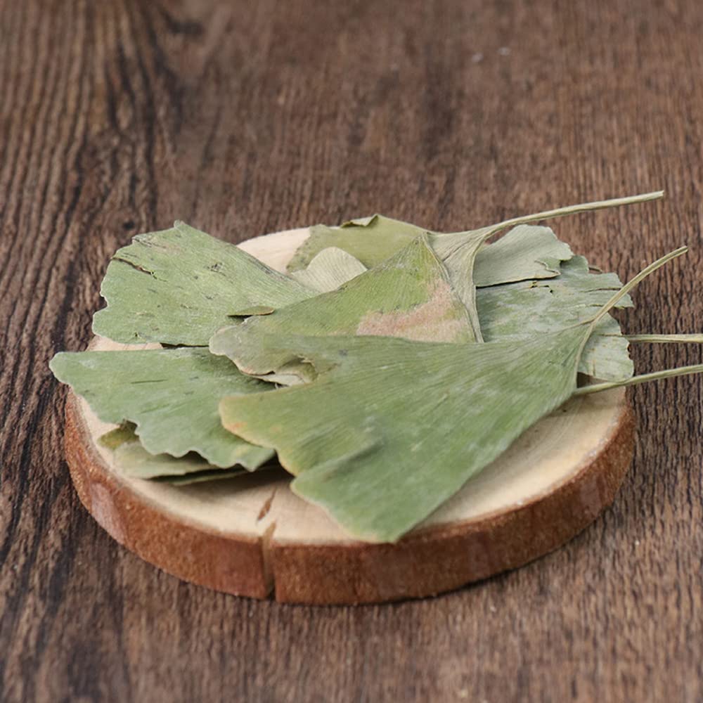 Generic Ginkgo Biloba Dried Loose Leaves - 500 Grams - image 6