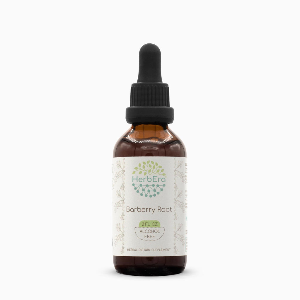 HerbEra Barberry Root Alcohol-Free Herbal Extract Tincture