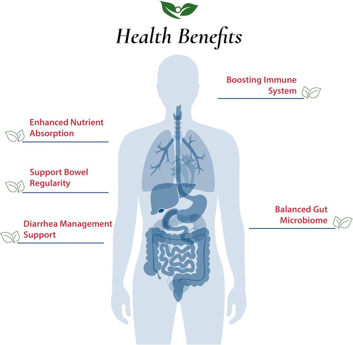 Foods For Gut Bacillus Subtilis Probiotic Powder 200 Billion cfu's