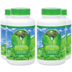 Youngevity Ultimate Cal Calcium Magnesium Bone Support - 480 Capsules
