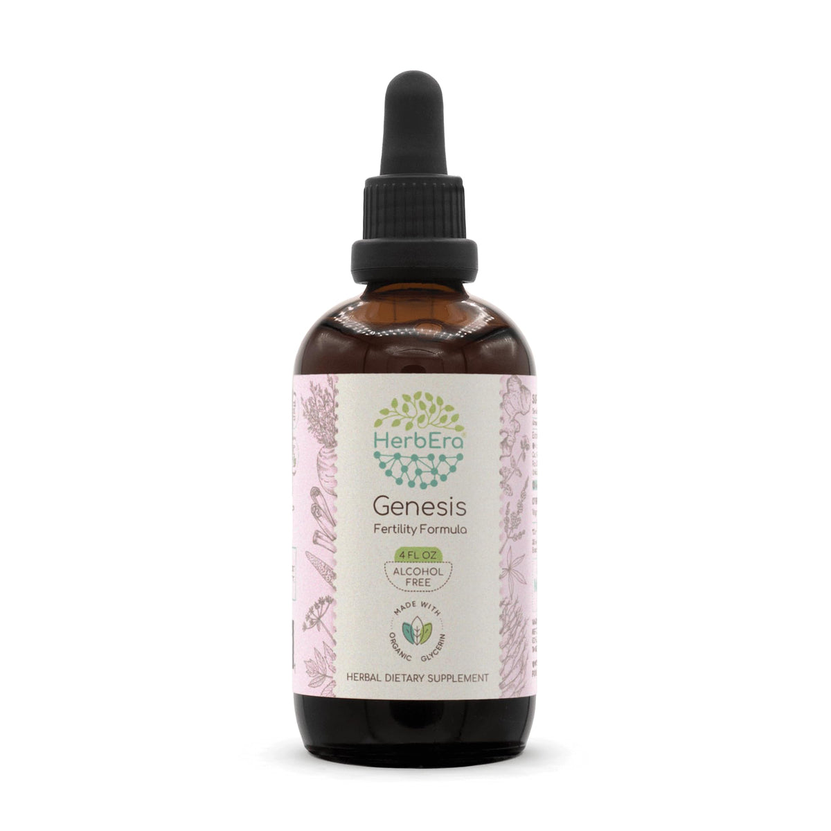 HerbEra Genesis B120 Alcohol-Free Extract Tincture - 4 Fl Oz