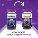 Sambucol Black Elderberry Gummies for Kids, Low Sugar - 30 Count - image 3