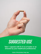 BulkSupplements Echinacea Extract 500mg - 240 Capsules - image 4
