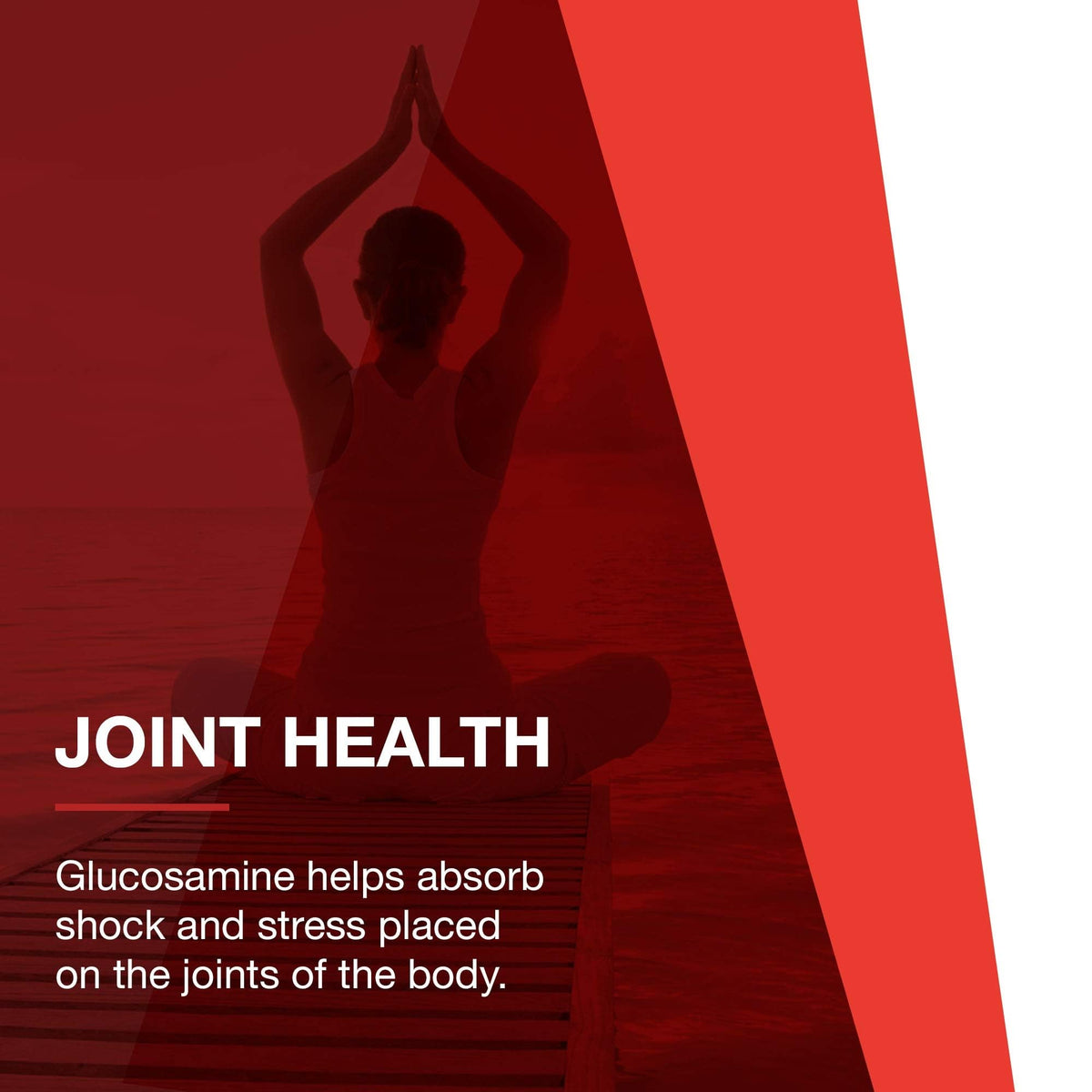 PROTOCOL FOR LIFE BALANCE Glucosamine Chondroitin MSM Joint Support - image 8