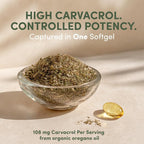 AROMAVITA Wild Oregano Oil Softgels 86% Carvacrol (High Potency)