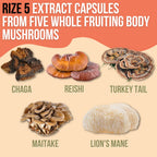Mycorize Rize 5 Mushroom Supplement Immune Support - 90 Capsules - image 6