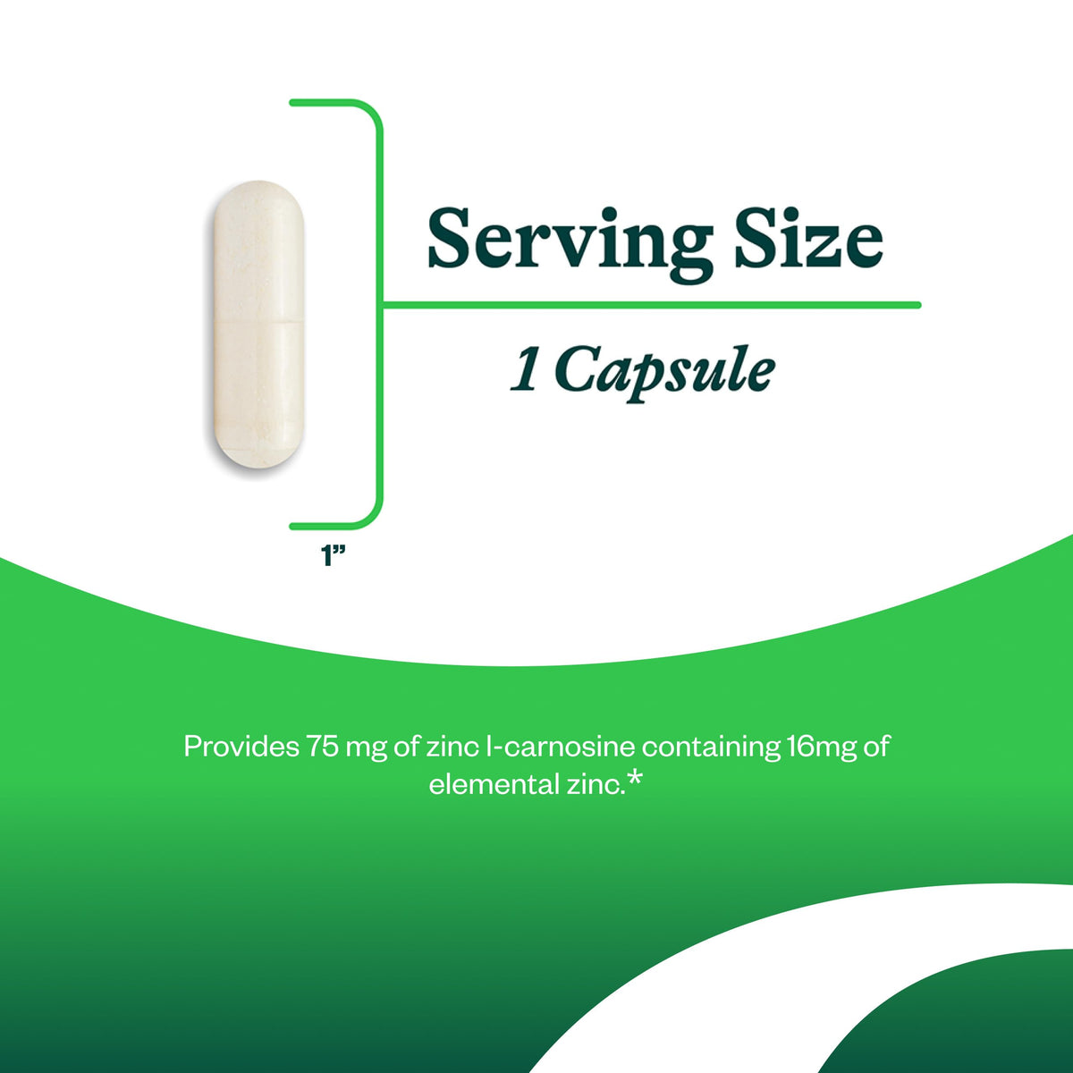 Seeking Health Zinc Carnosine Digestive Support - 60 Capsules - image 3