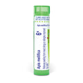 Boiron Apis Mellifica 6X for Swelling from Insect Stings or Allergies