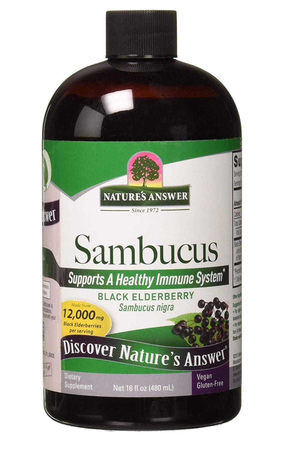 Nature's Answer Sambucus Elderberry Extract Immune Support - 16 Fl Oz