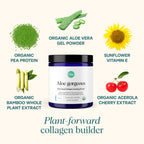 Ora Organic Vegan Collagen-Boosting Powder - Hair, Skin & Nails - 20 Servings - image 2