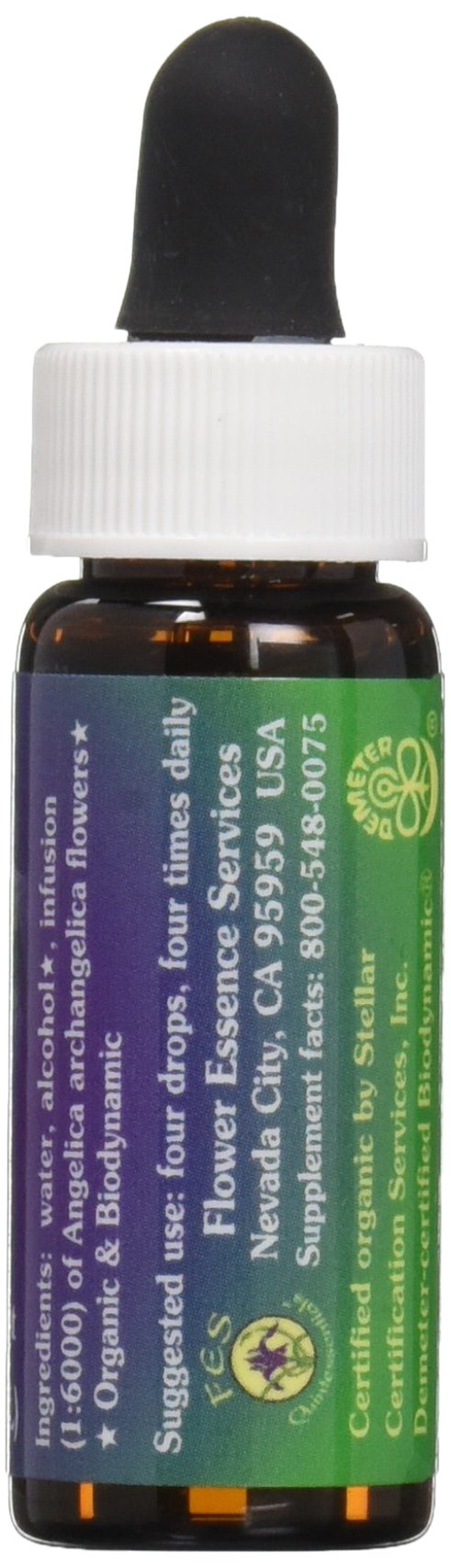 Flower Essence Services Angelica Essence - 0.25 oz - image 2