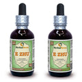 Herbal Terra LLC E Zhu, Zedoary (Curcuma Zedoaria) Tincture, Dried