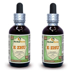 Herbal Terra LLC E Zhu, Zedoary (Curcuma Zedoaria) Tincture, Dried
