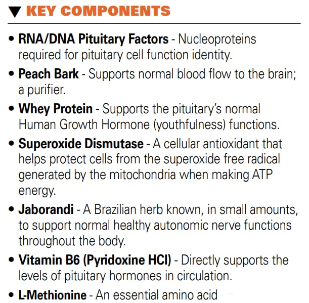 Systemic Formulas #32 Bio Function Gb Pituitary/Pineal - 60 Capsules - image 3