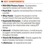Systemic Formulas #32 Bio Function Gb Pituitary/Pineal - 60 Capsules - image 3