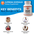 Holistic Health Suprema Dophilus Probiotic - 60 Vegetarian Capsules - image 7