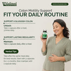VIFADIMED Digestion 2