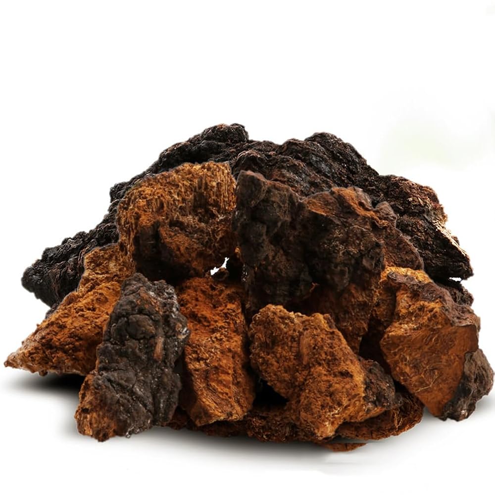 REUEHDS Chaga Mushroom Chunks - 1000g - image 4