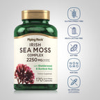 Piping Rock Irish Sea Moss Capsules - 170 Count - image 3