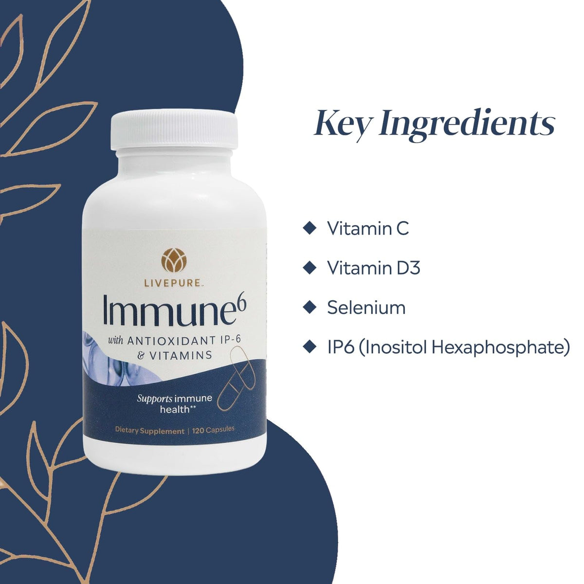 PURE Immune6 Immune Support Multivitamin - 120 Capsules - image 4
