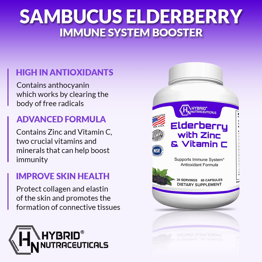 Hybrid Nutraceuticals Black Elderberry Capsules with Echinacea - 60 Capsules - image 2