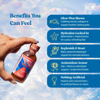 Balaveda Organic Wellness & Energy Shots Variety Pack
