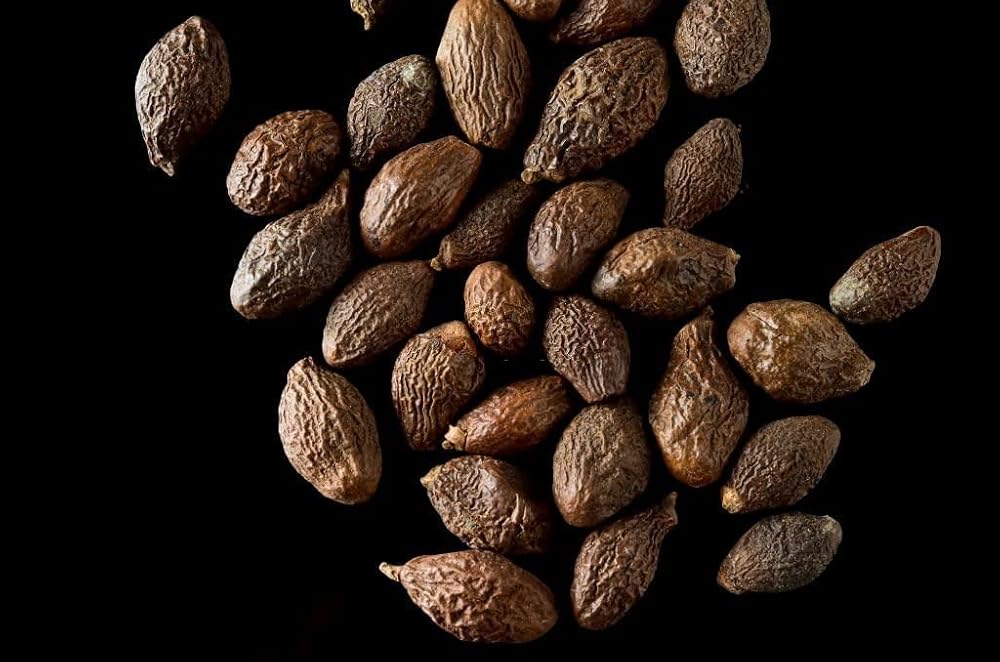 Nutranix Niranjan Phal Malva Nuts Seed - 500g - image 3