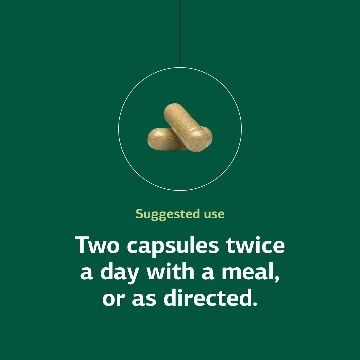 Standard Process Diaplex Pancreas & Gallbladder Support - 150 Capsules - image 5