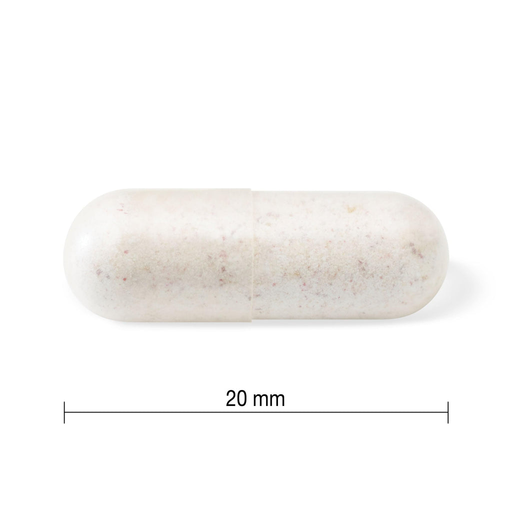 Jamieson 10 Billion Probiotic - 60 Vegetarian Capsules - image 7