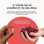 Gemma Stay On Tract Cranberry Supplement - 60 Capsules - image 4