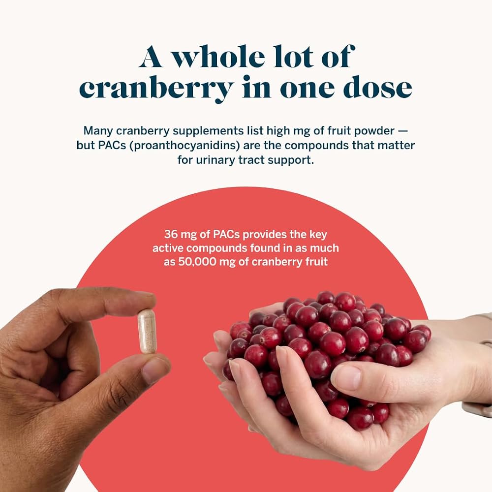 Gemma Stay On Tract Cranberry Supplement - 60 Capsules - image 4